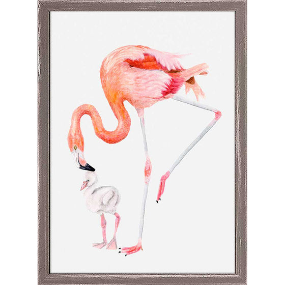 Mom And Baby Flamingos