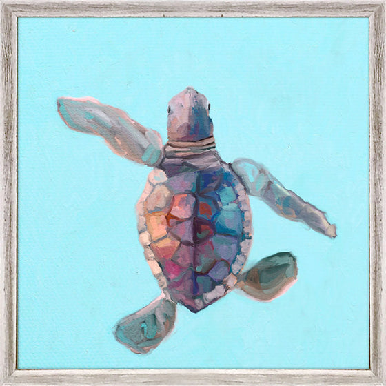 Swimming Baby Turtle 3