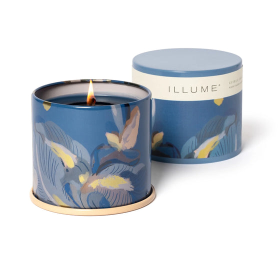Citrus Crush Tin Candle