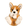 Lil’ Baby - Corgi