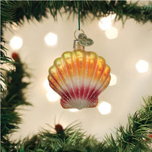  Sunrise Shell Ornament