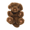 Lil’ Baby - Chocolate Lab