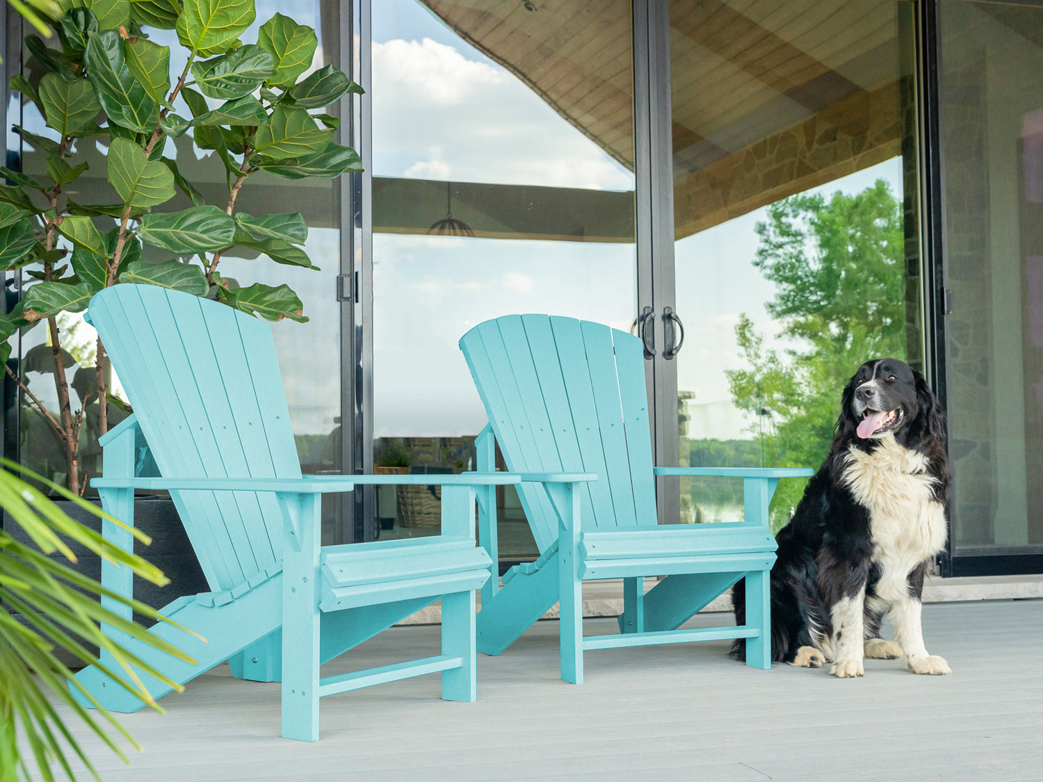 aqua Adirondack chairs on patio with dog