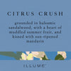 Citrus Crush Reed Diffuser